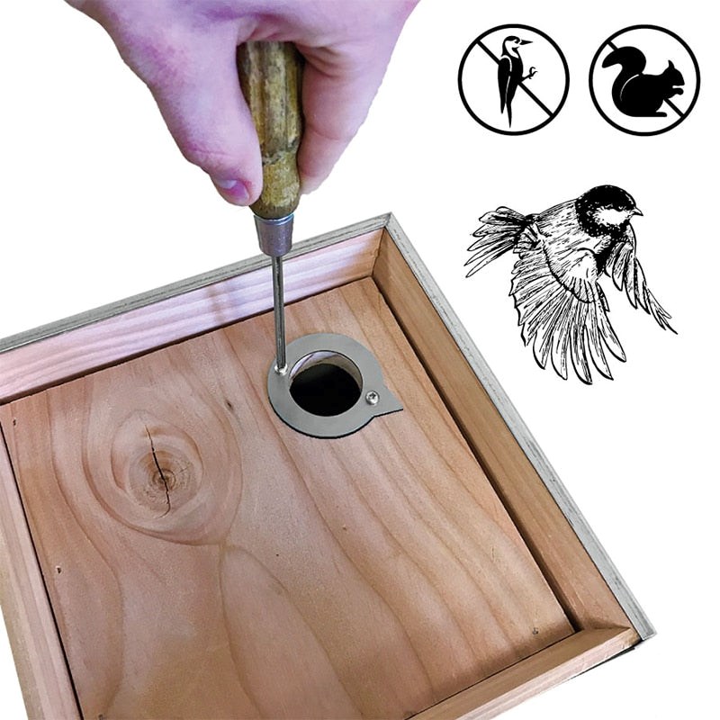 Plaque de protection pour nichoir protecpiaf