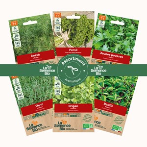 Assortiment aromatiques - graines bio