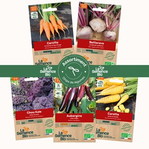 Assortiment chips de légumes - graines bio