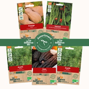 Assortiment la courge et ses z'amis - graines bio