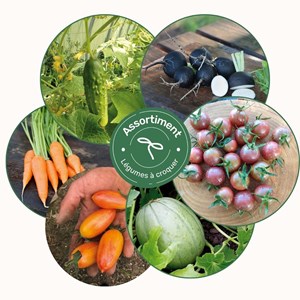 Assortiment légumes à croquer - graines bio