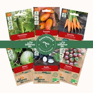 Assortiment légumes à croquer - graines bio