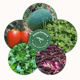 Assortiment salade d'été originale - graines bio