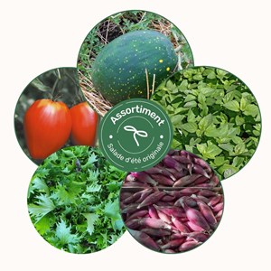 Assortiment salade d'été originale - graines bio