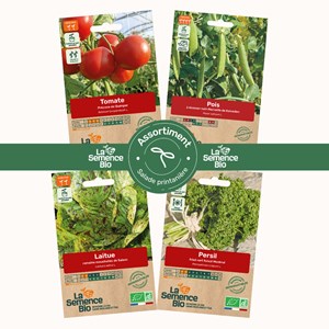 Assortiment salade printanière - graines bio