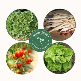 Assortiment tomates et ses z'amis - graines bio