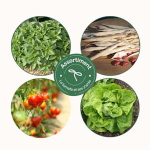 Assortiment tomates et ses z'amis - graines bio
