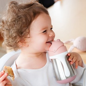 Gourde à paille en inox old pink (250 ml)