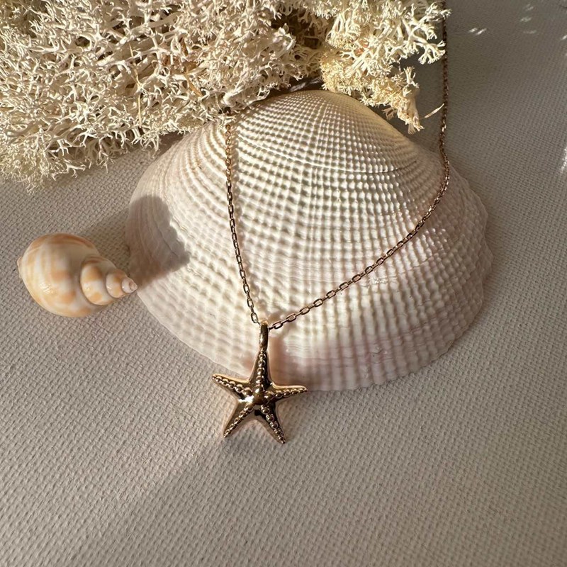 Les Bijoux Chics - Collier pendentif étoile de mer
