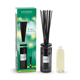 Bouquet parfumé initial eau d'amazonie