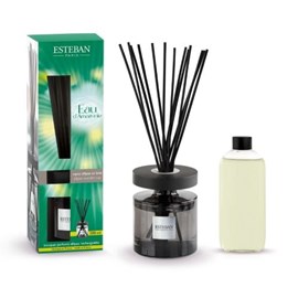 Bouquet parfumé ellipse eau d'amazonie