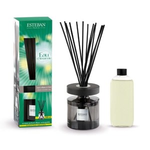 Bouquet parfumé ellipse eau d'amazonie
