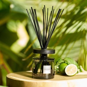 Bouquet parfumé ellipse eau d'amazonie