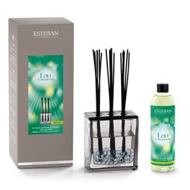 Bouquet parfumé triptyque 250ml