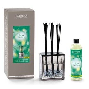 Bouquet parfumé triptyque 250ml