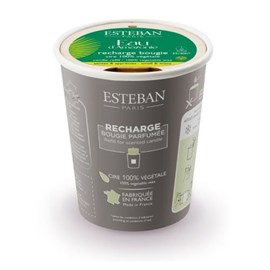 Recharge pour bougie 180g eau d'amazonie