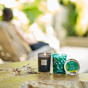 Recharge pour bougie 180g eau d'amazonie