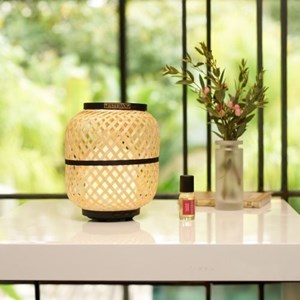 Concentré fleur de cerisier