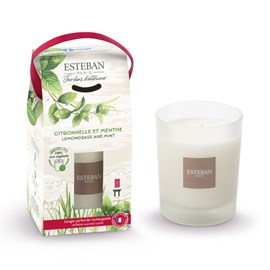 Bougie parfumée rechargeable 180g