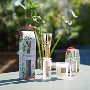 Bouquet parfumée 100ml