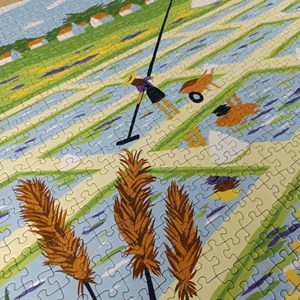 Puzzle 1000 pièces : marais salants