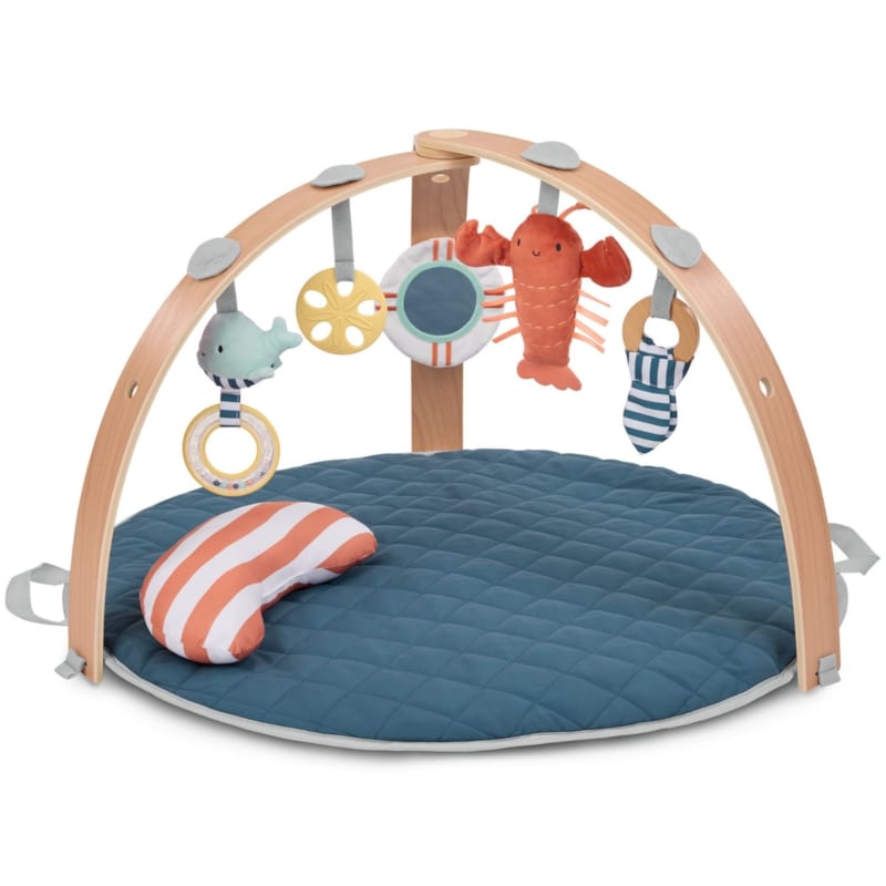 Tapis d'éveil réversible cozy spot avec arche en bois (Ingenuity) - Couverture