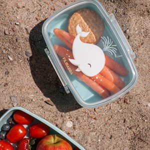 Lot de 2 lunch box les contes de christian la baleine