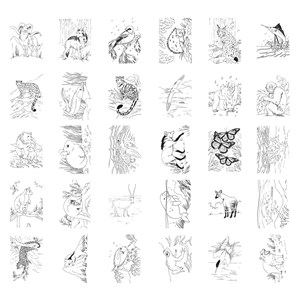Tablette lumineuse avec dessins à décalquer kidydraw animals