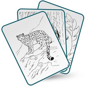 Tablette lumineuse avec dessins à décalquer kidydraw animals