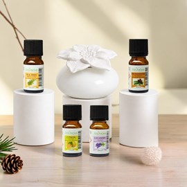 Diffuseur par capillarité narcisse blanc + 4 he 100% naturelles