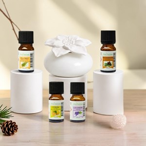 Diffuseur par capillarité narcisse blanc + 4 he 100% naturelles