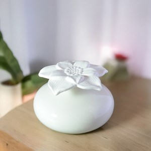 Diffuseur par capillarité narcisse blanc + 4 he 100% naturelles