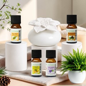 Diffuseur par capillarité narcisse blanc + 4 he 100% naturelles