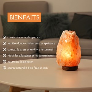 Mon cocon minéral : lumière et soin naturel au sel d'himalaya