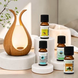 Diffuseur medusa + 4 huiles essentielles à diffuser