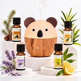 Diffuseur usb woofie + 4 he 100% naturelles