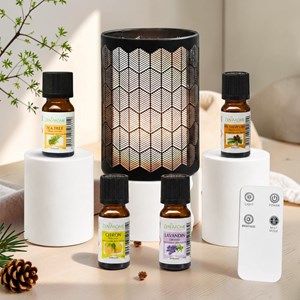 Diffuseur vérone métal et verre + 4 he citron arbre à thé lavandin pin