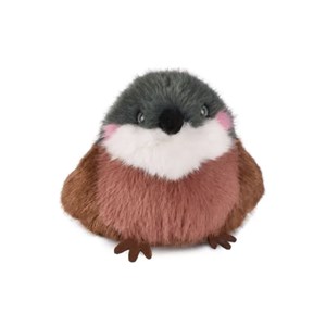 Les cui-cui paradis - moineau