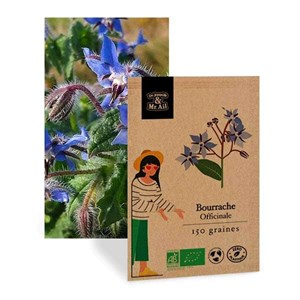 Sélection - les fleurs comestibles