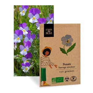 Sélection - les fleurs comestibles