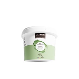Pâte d'argile verte prête à l'emploi pot - 1,350kg