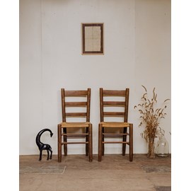 Paire de chaises en bois n°1241