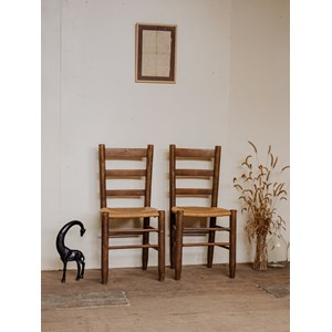 Paire de chaises en bois n°1241