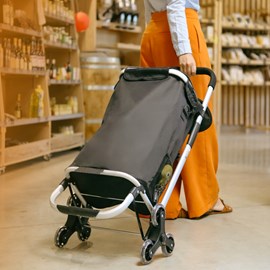 Chariot de courses pliable en aluminium
