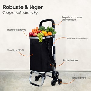 Chariot de courses pliable en aluminium
