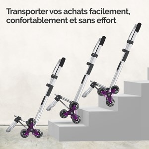 Chariot de courses pliable en aluminium