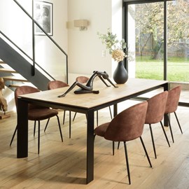 Tom - lot de 2 chaises tissu velours marron dossier arrondi pieds noir