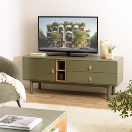 Ethan - meuble tv 1 porte, 2 tiroirs et 2 niches en bois vert
