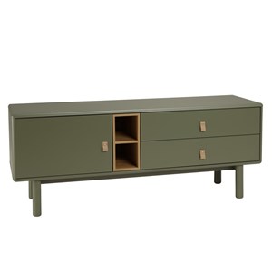 Ethan - meuble tv 1 porte, 2 tiroirs et 2 niches en bois vert