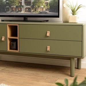 Ethan - meuble tv 1 porte, 2 tiroirs et 2 niches en bois vert